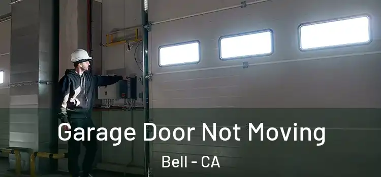  Garage Door Not Moving Bell - CA