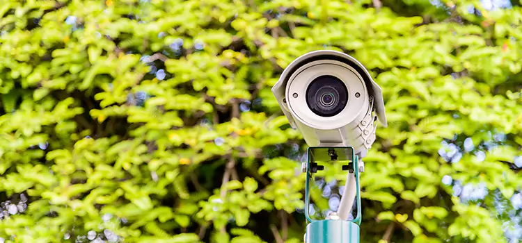 Advanced Surveillance Solutions for Every Need in Bell